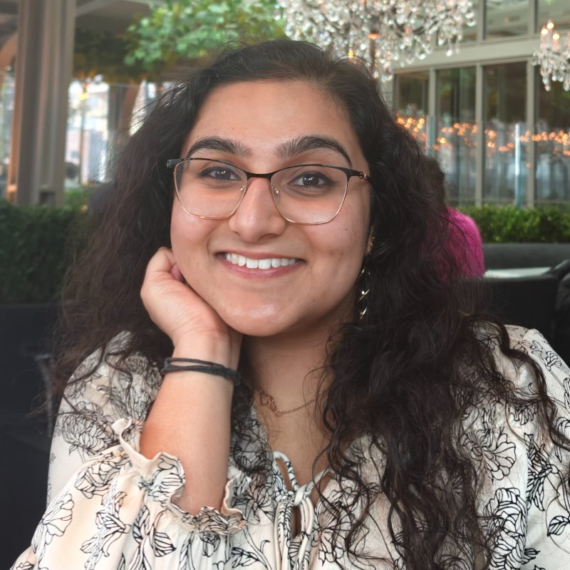 Profile picture of Raveena Nair