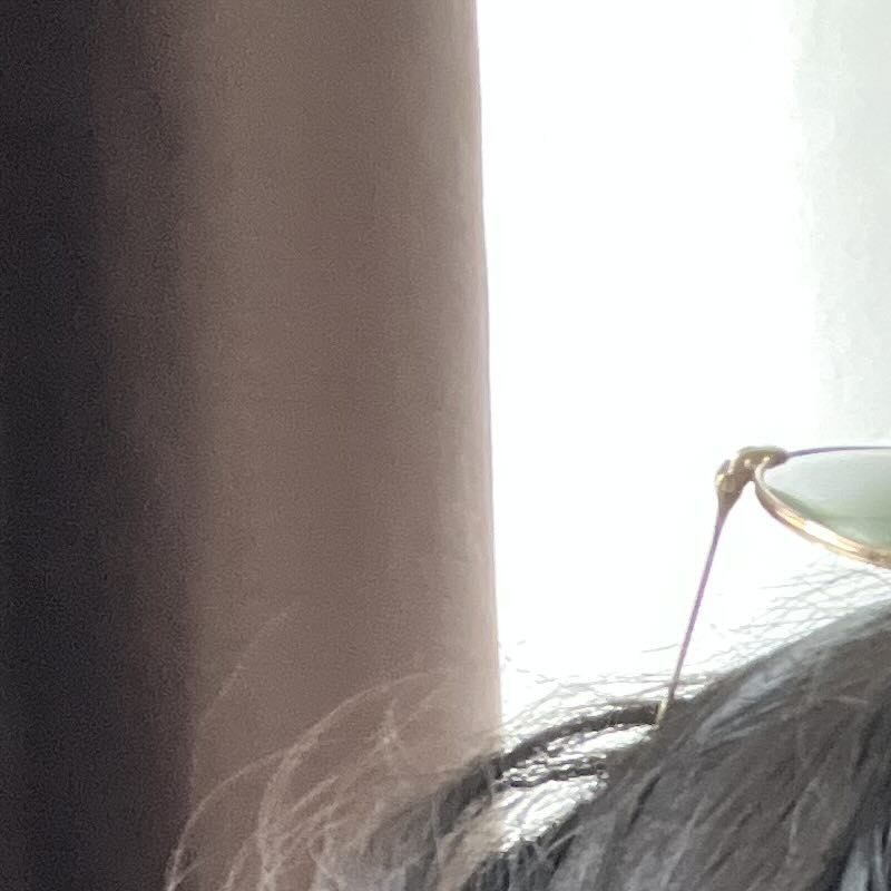 Profile picture of Priya